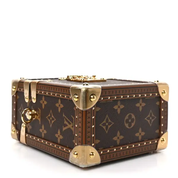 Louis Vuitton Camera Box Handbag