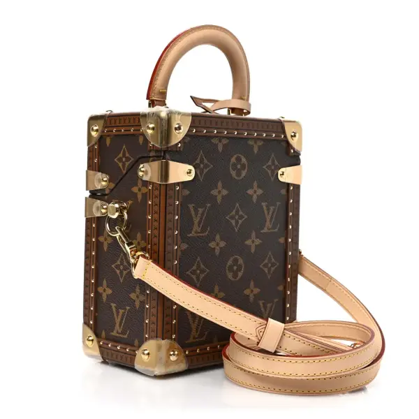 Louis Vuitton Camera Box Handbag